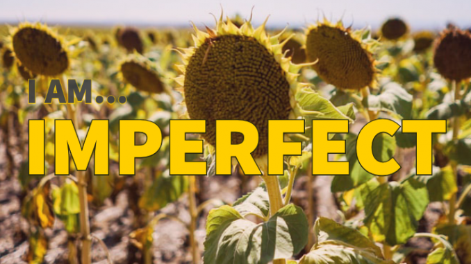 ss-blog-header-imperfect-2020 (1)
